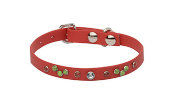 Christmas dog collar