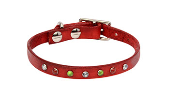 Christmas dog collar