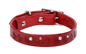 Christmas dog collar