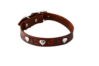 Valentine's heart dog collar
