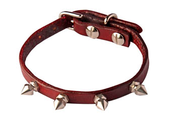 Dog collar with spikes