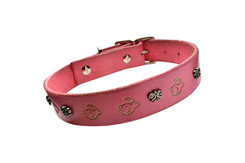 Christmas dog collar